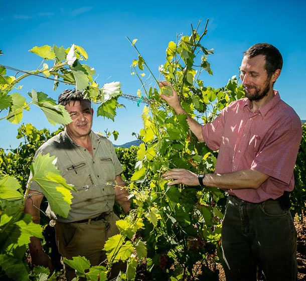 Marc et Serge Coulet, vignerons du Domaine de Brunet, Hérault (34)